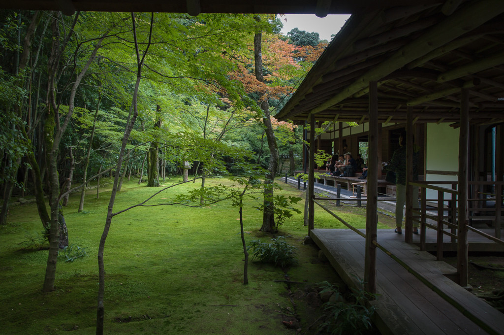 深い緑に染み入る静けさの庭園1025840
