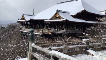 観光スポット / 14