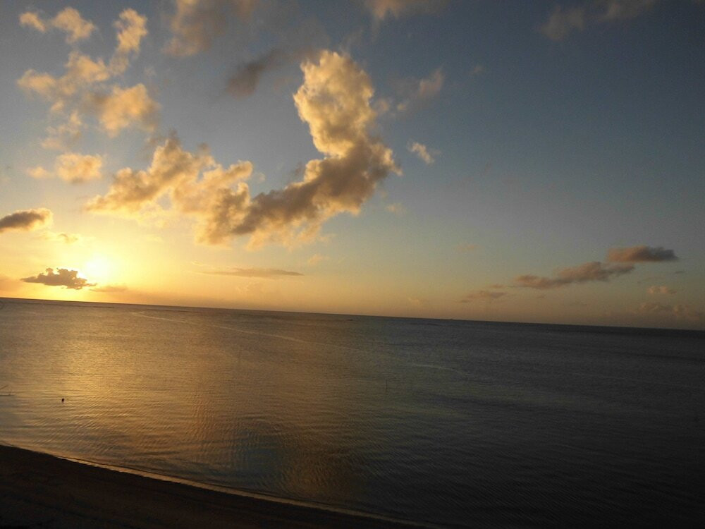 ビーチ / オーシャン ビュー