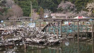 観光スポット / 7