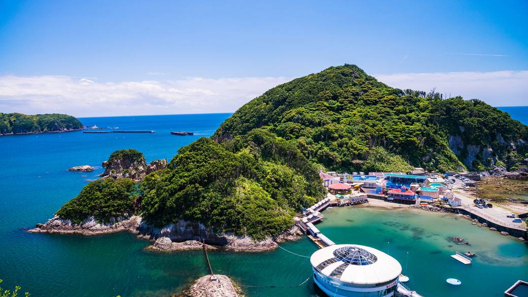 下田へ到着したら
「下田海中水族館」へ / 1