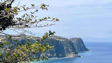 施設からの眺望 / 35