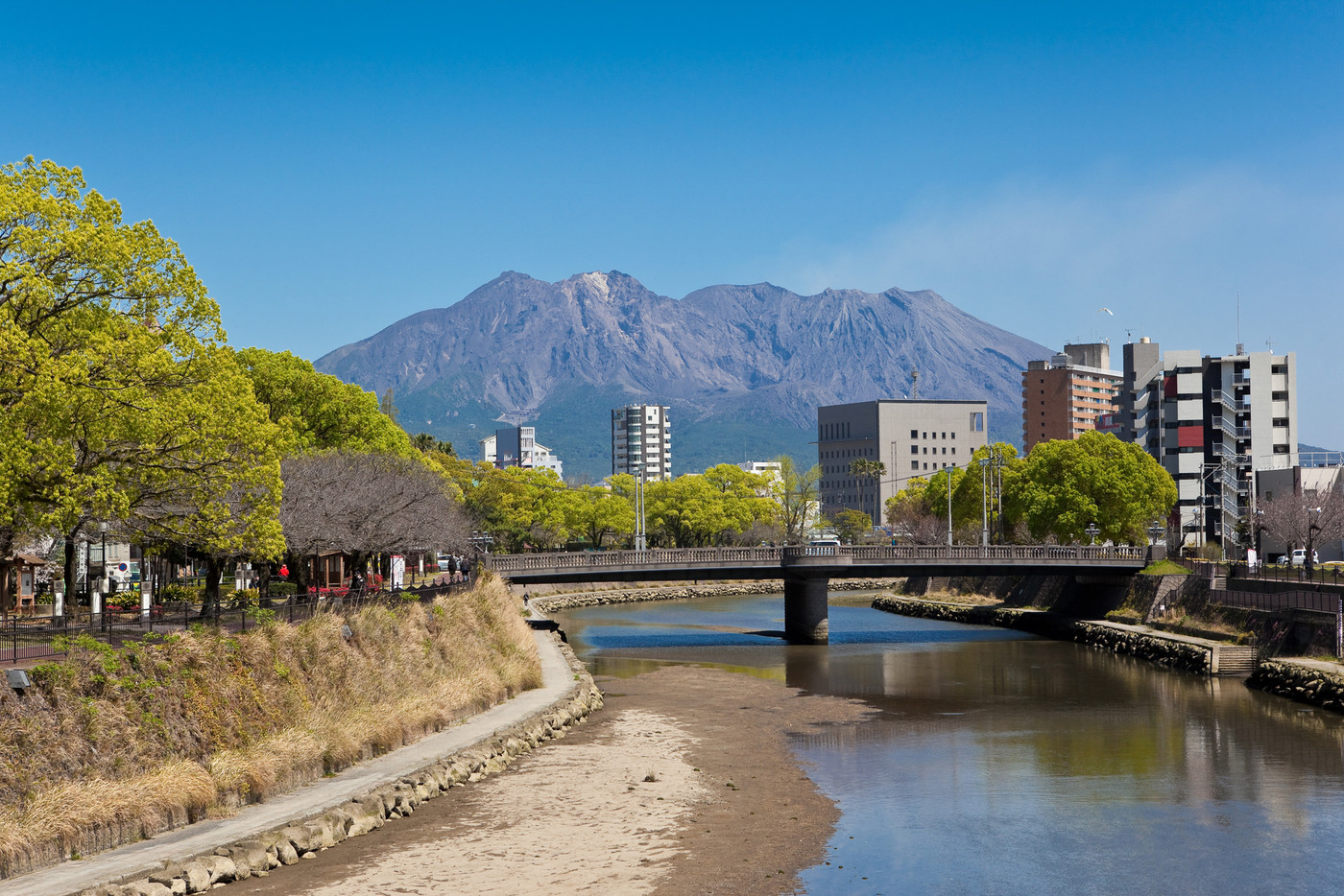 甲突川から見る桜島 