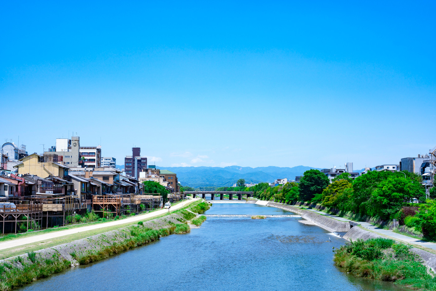 新緑の鴨川（京都）