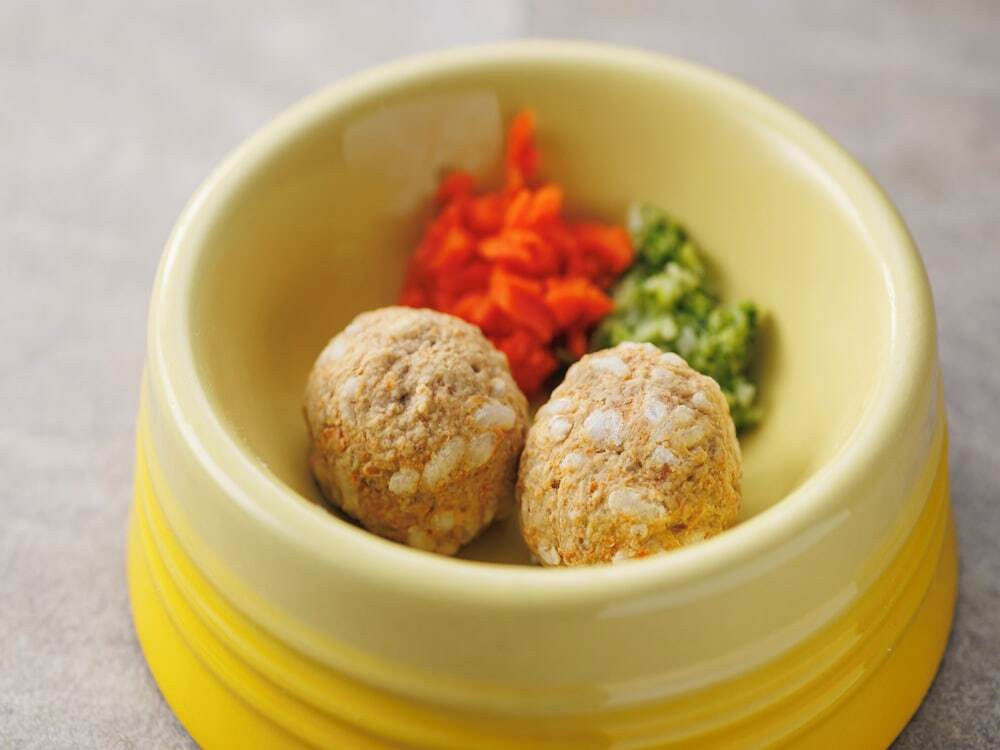 ペット同伴可