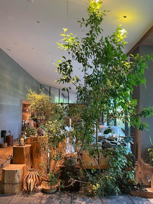 michikaaruさんの写真 / 1