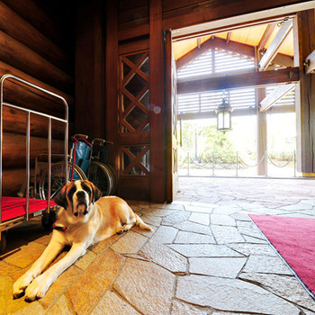 【青森市】八甲田ホテル3637509