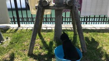 子供用スペース / 6