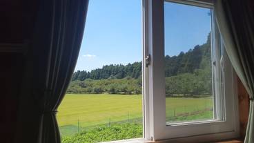 部屋からの景観 / 12