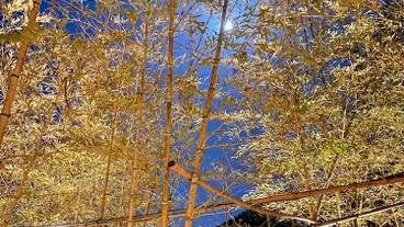 施設の入り口 / 36