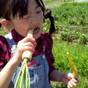 【お子様20％OFF】別府湾リゾートで楽しむ収穫休日 　Farm Samの旬野菜特製手土産＆夕朝食付 | グランドメルキュール別府湾リゾート＆スパ