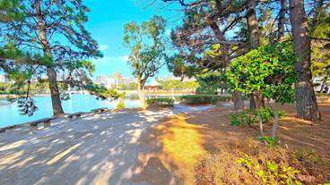 ランド ビュー / 17