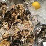 オストレア oysterbar&restaurant 銀座コリドー通り店（オストレアオイスターバーアンドレストラン）