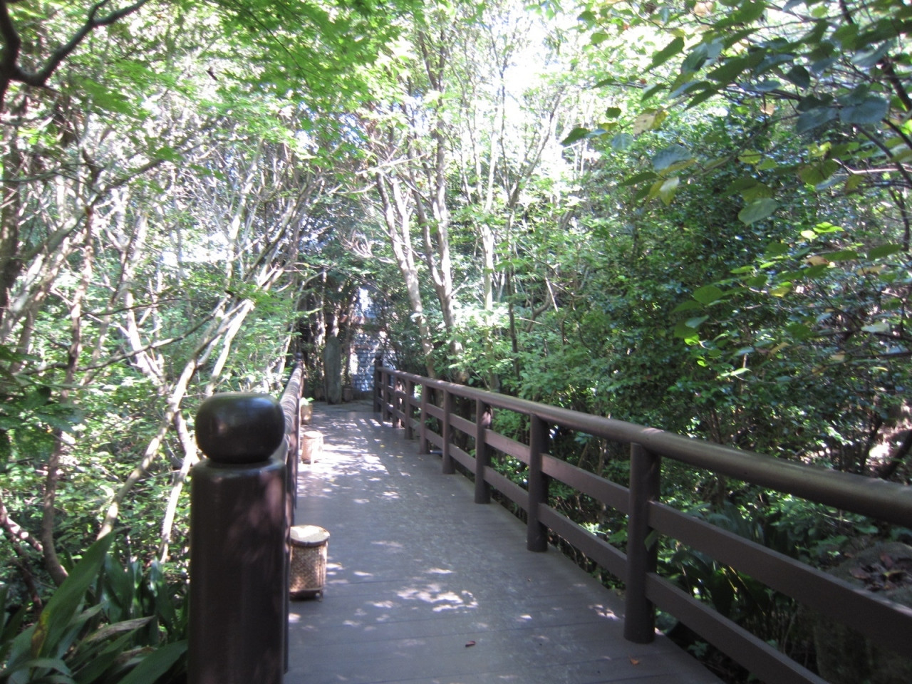 エキゾチックな天草の隠れ家リゾートで何もしない贅沢な時間を3515244