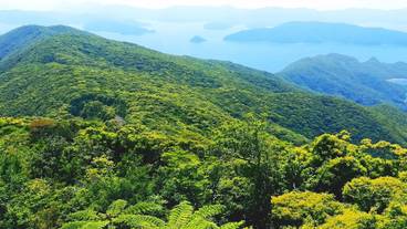 観光スポット / 8