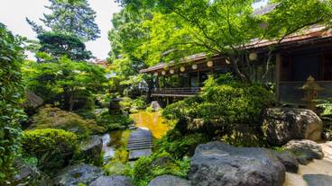 夏の日本庭園 / 7