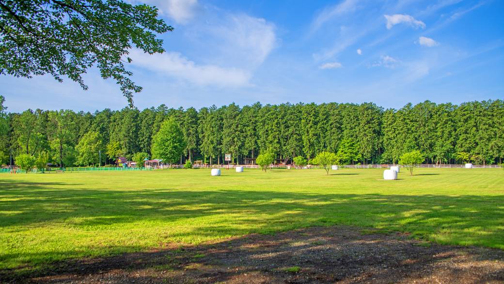 千本松牧場 敷地内 / 4