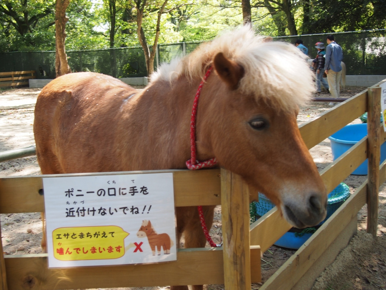 3.動物たちに癒される「五月山動物園(池田市)」1937653