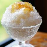 とうしゃ（トウシャ）