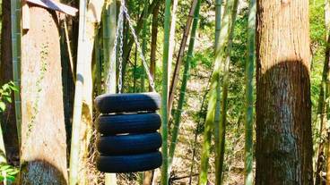 施設の敷地 / 25