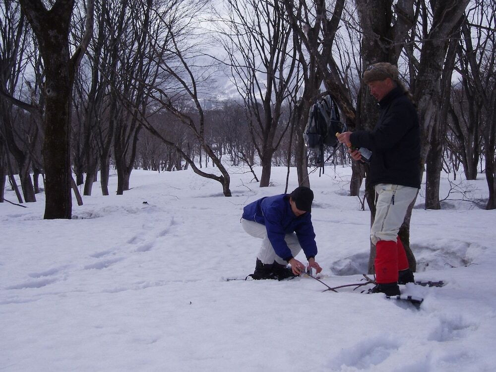 スノー スポーツとスキー