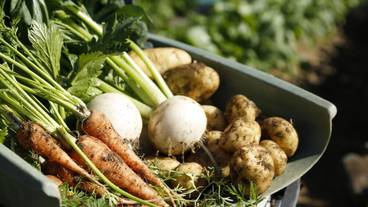 食事・飲み物 / 7