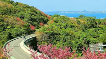 ハンティング / 2