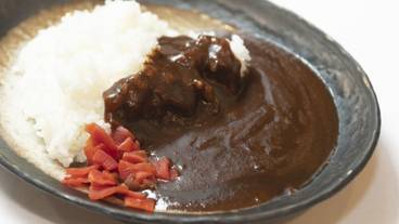 レストラン / 13