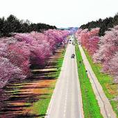 ホテル アネックス イン（北海道 ビジネスホテル） / 4