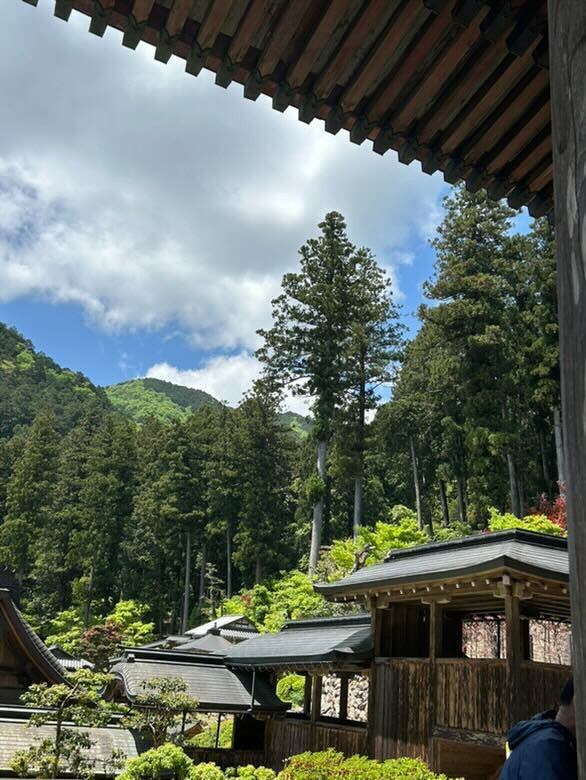 3petites.assiettesさんの写真 / 4