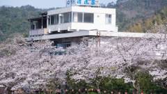 三朝温泉 自家源泉かけ流し露天風呂 清流荘