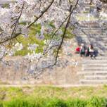 下呂温泉と桜の名所で春を感じる旅へ♡カップルにおすすめの旅館6選