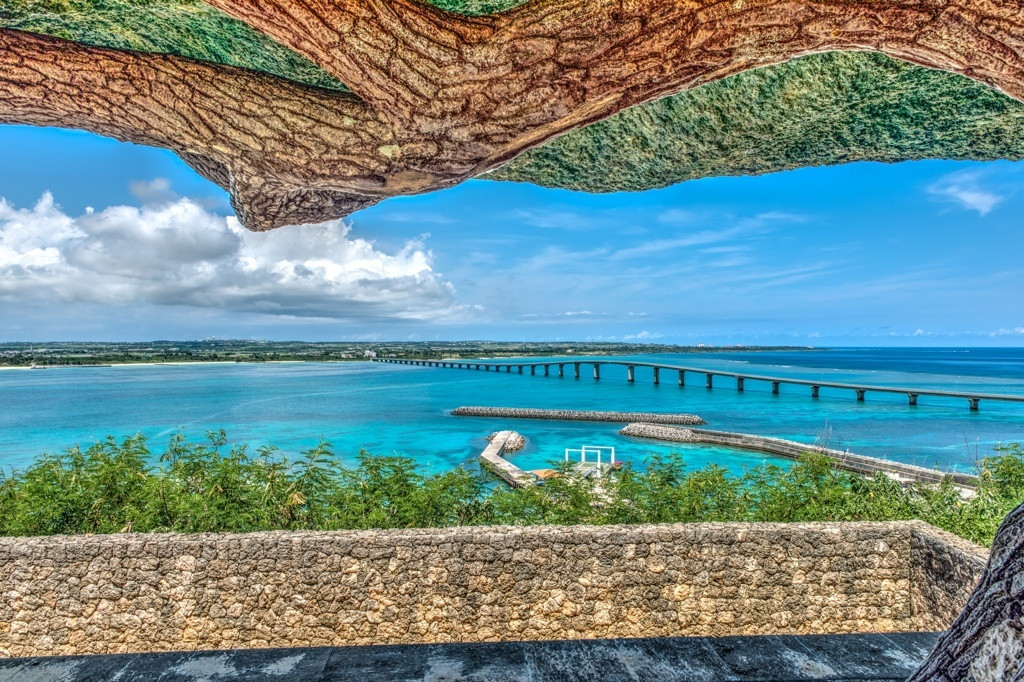 いかがでしたか？4265898