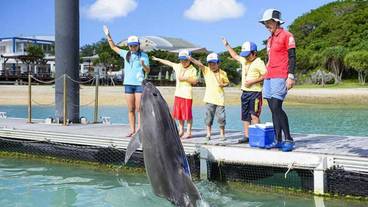 子供向けアクティビティ / 22