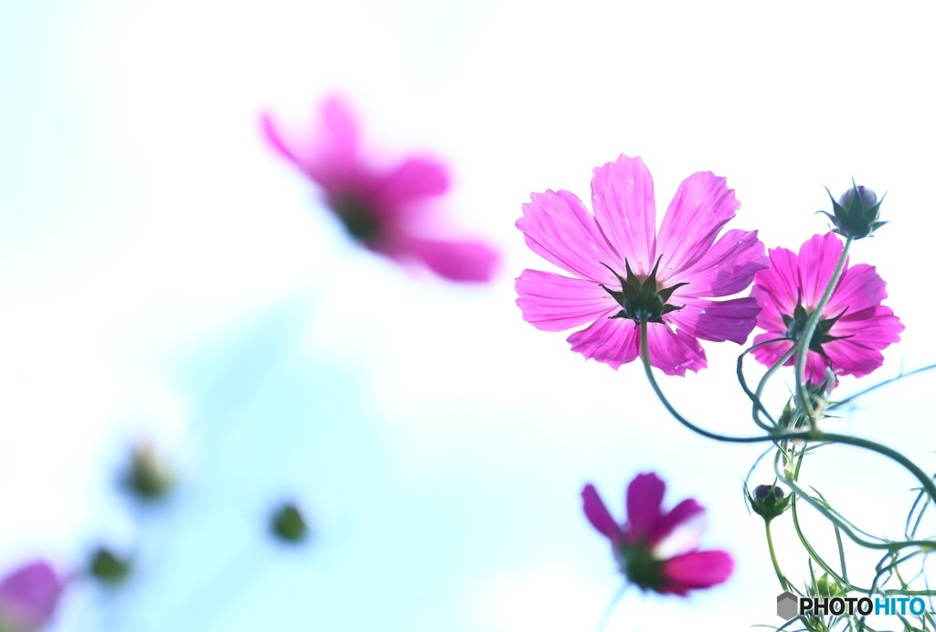 私を取り戻す旅へ出かけよう3639624