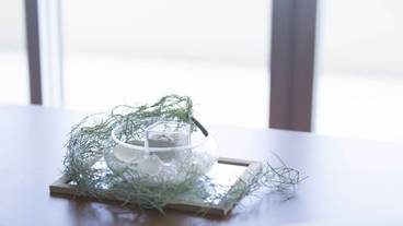 リビング エリア / 12