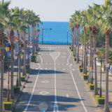 リゾート気分に浸れる
海沿いをドライブ♪ / 2