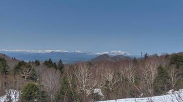 施設の敷地 / 19