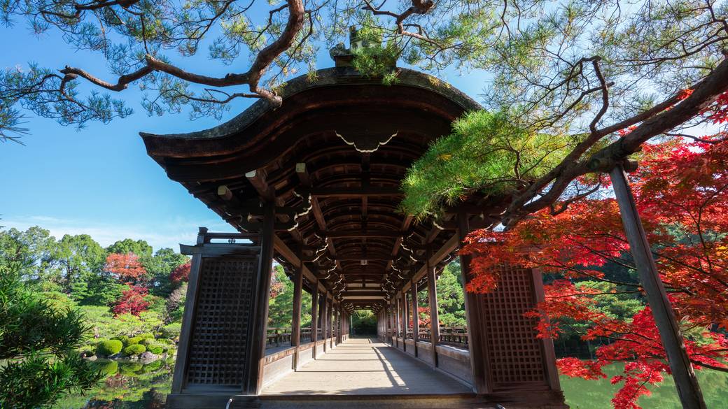 平安神宮 / 5