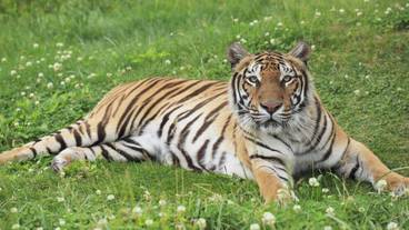 観光スポット / 14