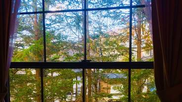 ガーデン ビュー / 32