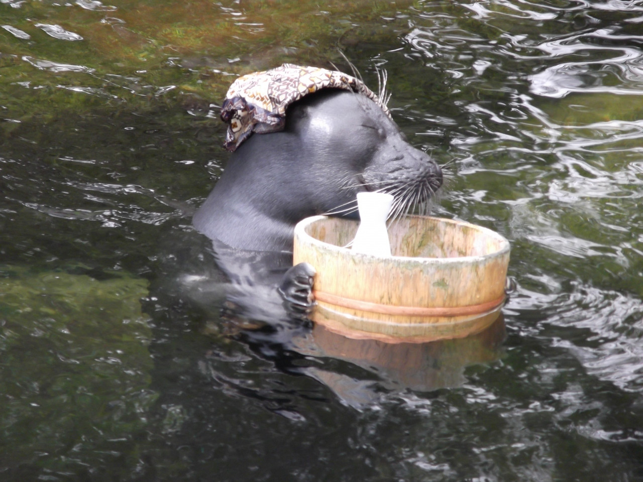 箱根園水族館702694
