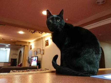 シルバー志賀 / 3