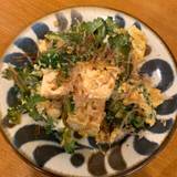 とらえもん（トラエモン）