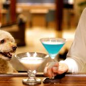 レジーナリゾート鴨川（千葉県 リゾートホテル） / 3