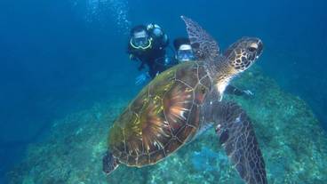 フィットネス設備 / 4