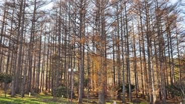 施設からの眺望 / 34