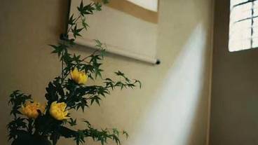 建物のデザイン / 13