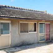 KOURIJIMA ぶどうの樹（沖縄県 民宿） / 3