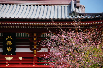 How about a relaxing girls trip to the ancient city of Kamakura? 3557278